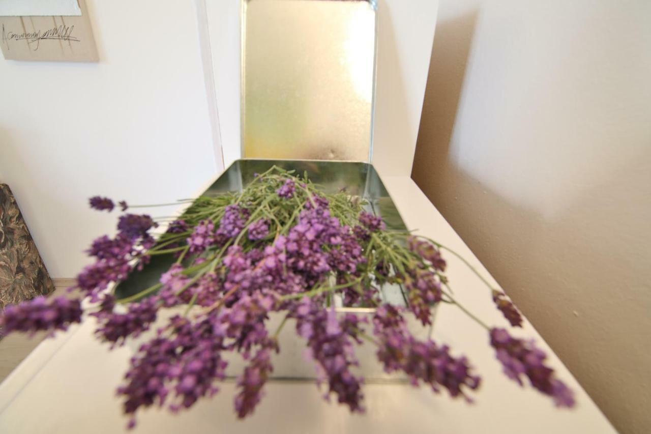 Apartment Rosemary Rogoznica  Dış mekan fotoğraf
